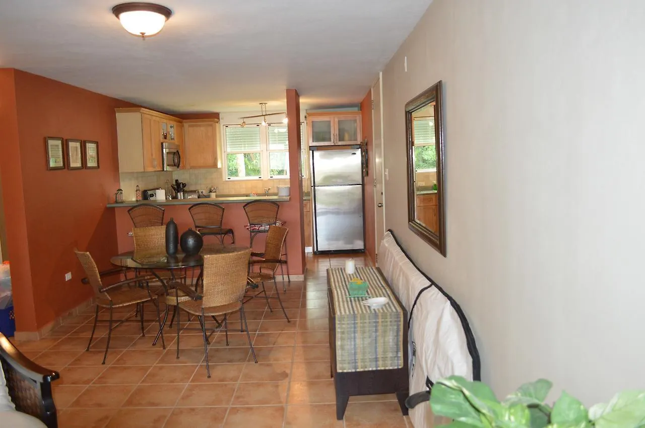 Beach Front Apartment Rio Mar Puerto Rico Rio Grande Porto Rico